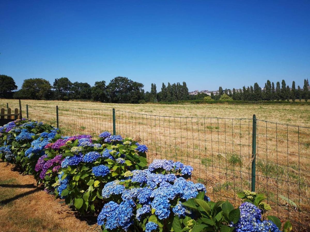Appartamento Le Cosy Lanvallay Esterno foto